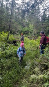 North Branch Trail - Island Pond Trails Day, June 20, 2026