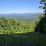 Burke CCC Road View
