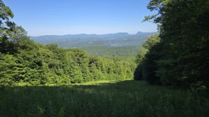 Burke CCC Road View