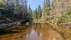 North Branch Trail