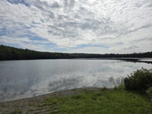 Fosters Pond Paddle