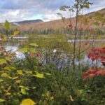 View from Jean Haigh Cabin