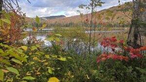 View from Jean Haigh Cabin