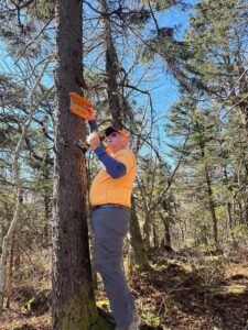 Installing Summit Sign